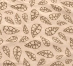 Robens Wolf Moon 5XP Tent Package -Sports Equipment Store robens carpet 1